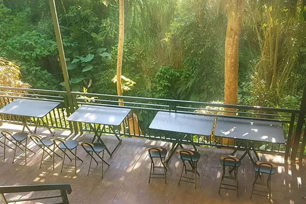 Jungle Hideaway Villas Chair Enjoying View