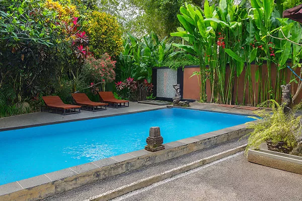Jungle Hideaway Villas Swimming Pool